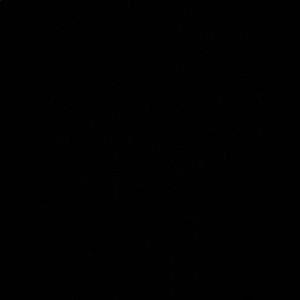 Meet your Posher, Kayleen